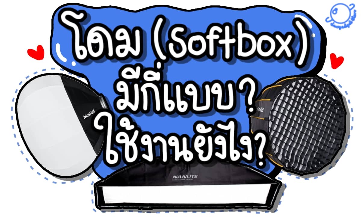 โดม (Soft Box) มีกี่แบบ? ใช้งานยังไง ?
